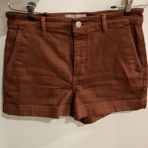 Everlane Canvas Shorts